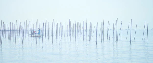 ブランドバナー(のりの種付け)