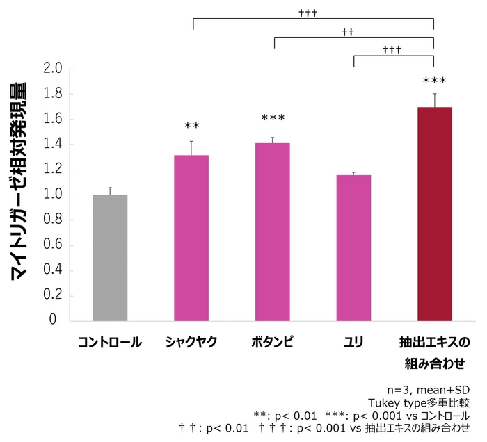図3.毛包上皮細胞におけるシャクヤク、ボタンピ、ユリの抽出エキスによるマイトリガーゼ 発現促進作用