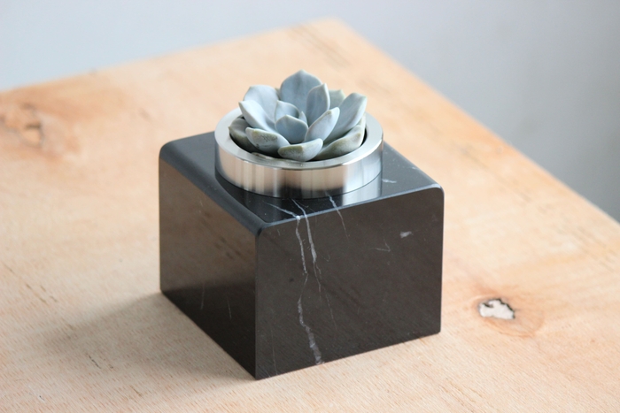 ゼブラカルニコver.