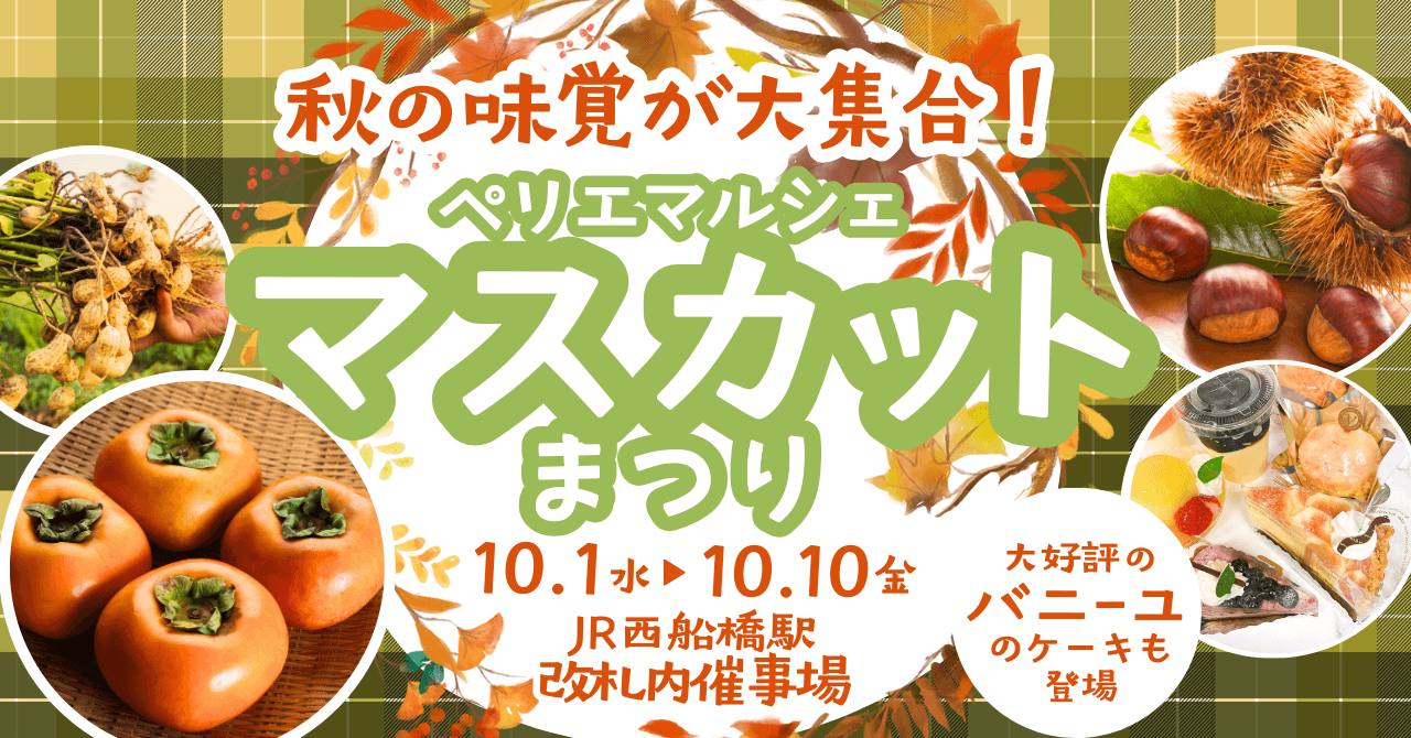 シャインマスカットまつり開催!