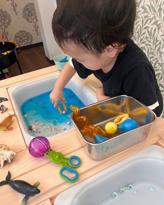 ベアトリーセンサリープレイ_体験教室