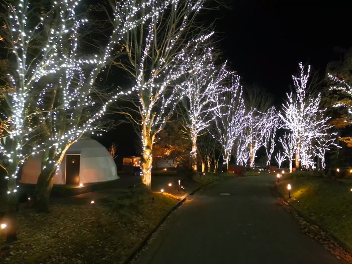 イルミネーションナイト2025