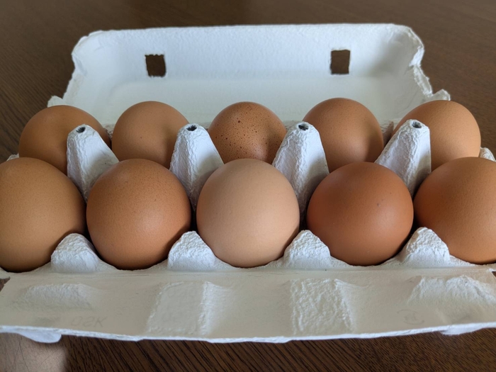 オーガニック卵