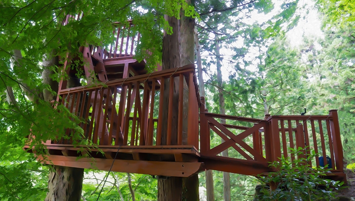 ツリーハウス Latva(ラトヴァ)