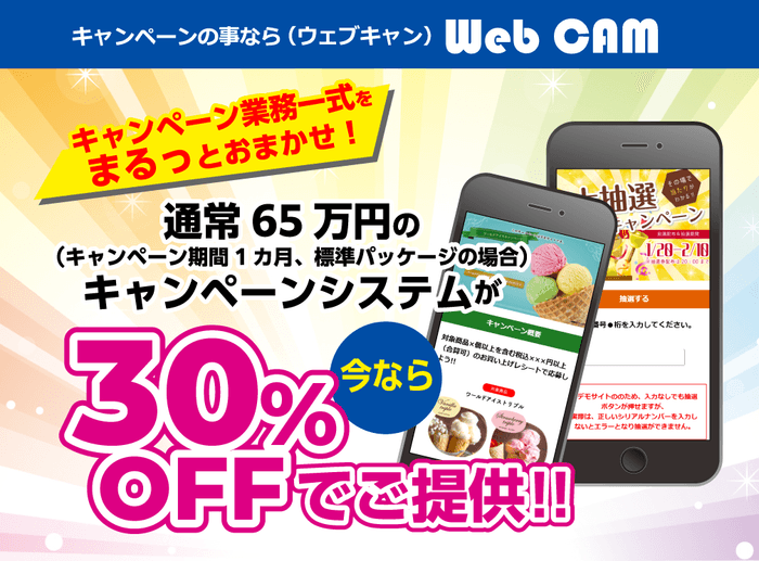 今ならキャンペーンシステム30%OFF!!
