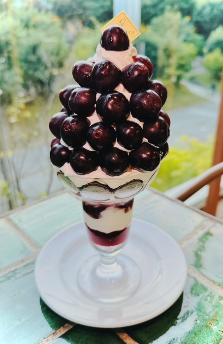 希少種マスカットノワールをふんだんに使用したマスカットノワールパフェ