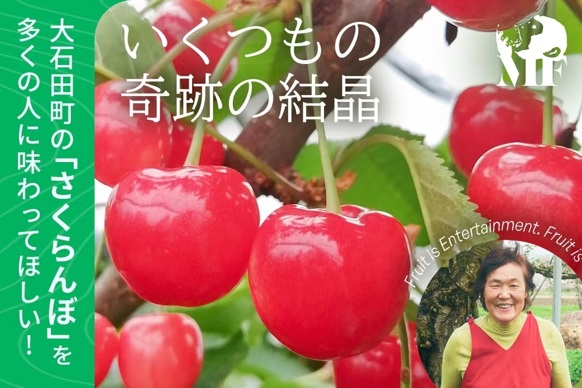 山形県大石田町のさくらんぼ農家を応援するクラウドファンディング