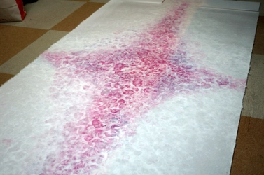 インテリア向け襖紙「彩襖(さいおう)」の受注販売を開始 　大阪の和紙問屋が手漉き襖紙を現代的にアレンジ