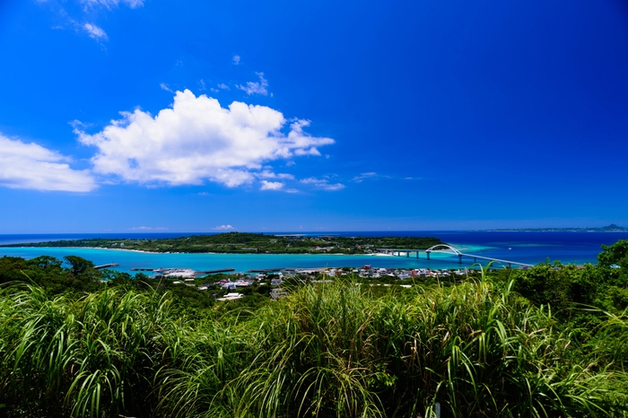 美ら海、沖縄ブルーに囲まれている瀬底島/沖縄県国頭郡本部町瀬底