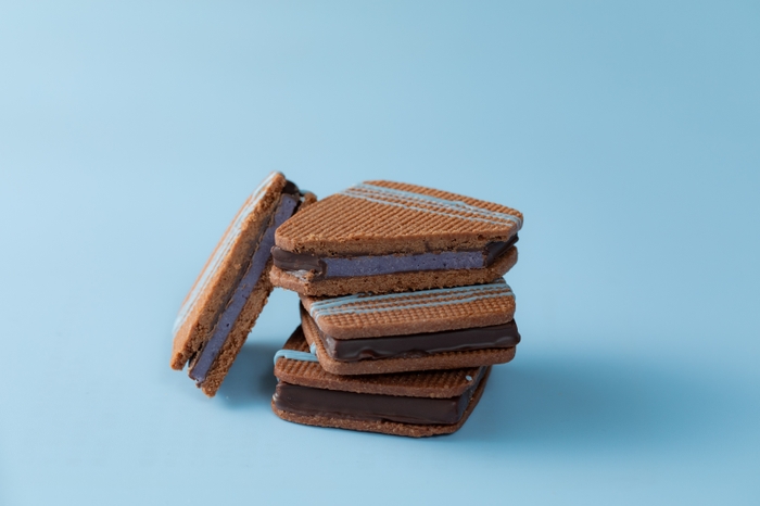 ショコラサンド~浜松ブルーベリー~