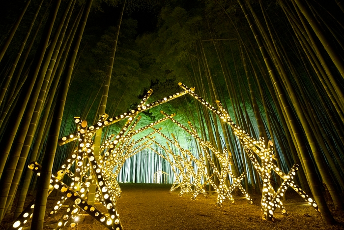 竹あかり(イメージ)