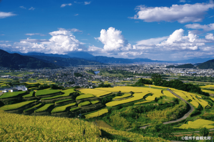 姨捨棚田を望む初夏の風景