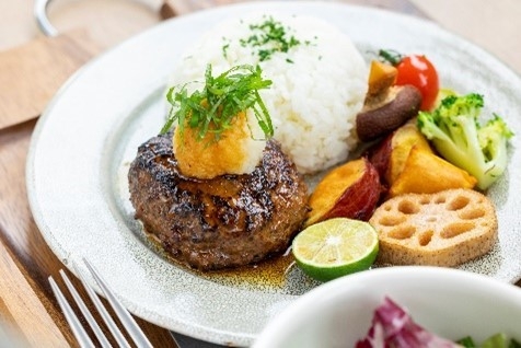 阿波黒牛のハンバーグプレート~和風おろしポン酢ソース~