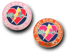 PINS FACTORY（ピンズファクトリー）　ピンズ実例紹介国保直営総合病院君津中央病院　様　「ＩＣＬＳピンズ」★業務中でも付けられるピンズを医療講習の修了記念に！