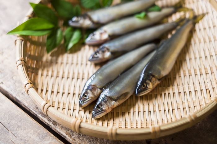 魚と一緒に! イメージ写真