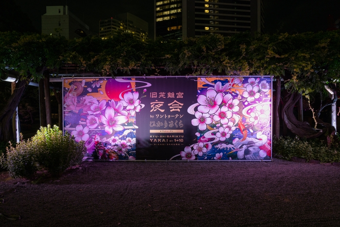 夜会キービジュアル インスタレーション (昨年の様子)
