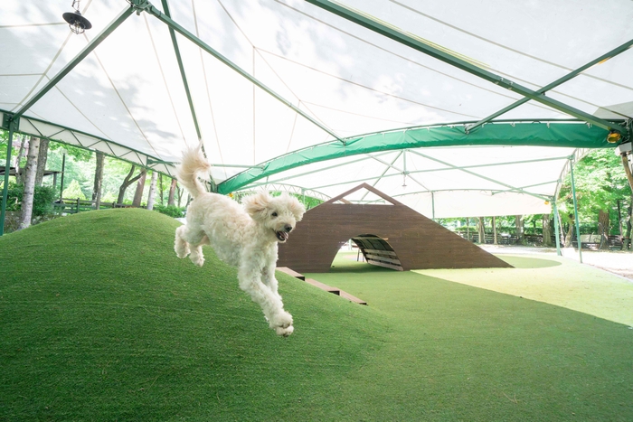 フォレストヒルズ那須 全天候型ドッグラン