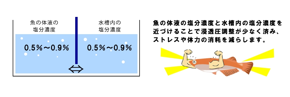 浸透圧調整2