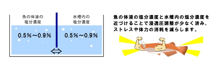 浸透圧調整2
