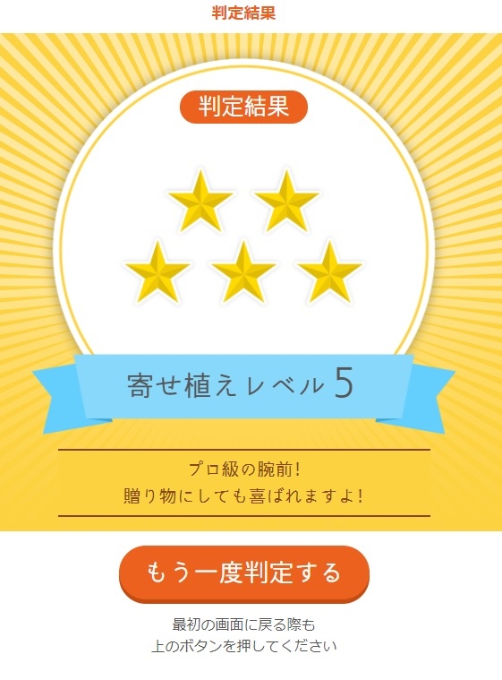 判定結果表示