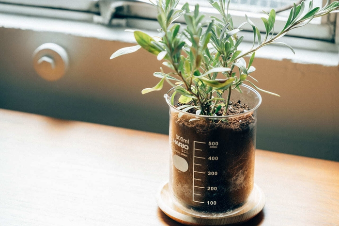 水分状態が可視化できる、高い透明度のHARIO Glass