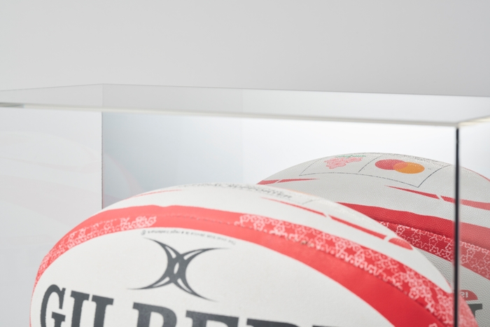 ラグビーボールケース 鏡付 アップ