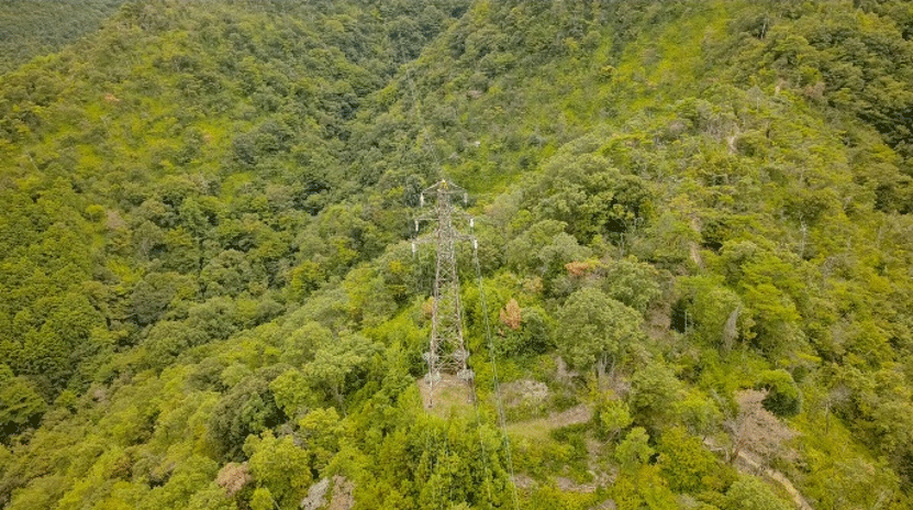 <送電線を無人巡視するSkydio X10が撮影した画像
