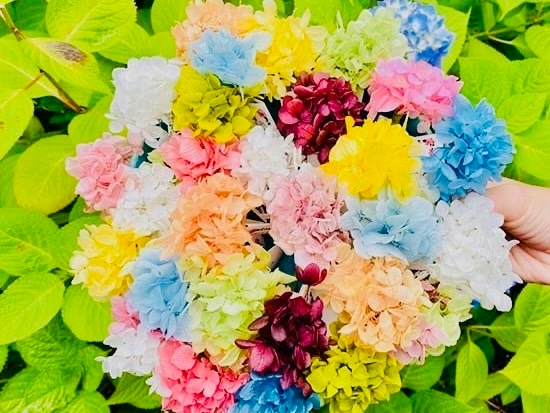 花手水おみくじ