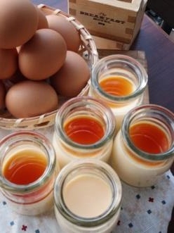 とろける黄金比カスタードプリン【宿泊者:200円 / 外来:400円】