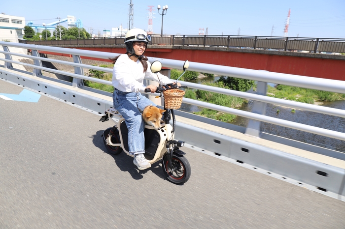 愛犬とお出かけ3