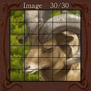 『ナンバースクエアDX』　ゲーム画面4（ご褒美画像）