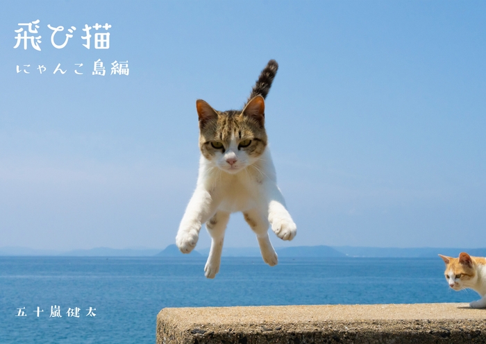 飛び猫写真集にゃんこ島編 1,540円(税込)
