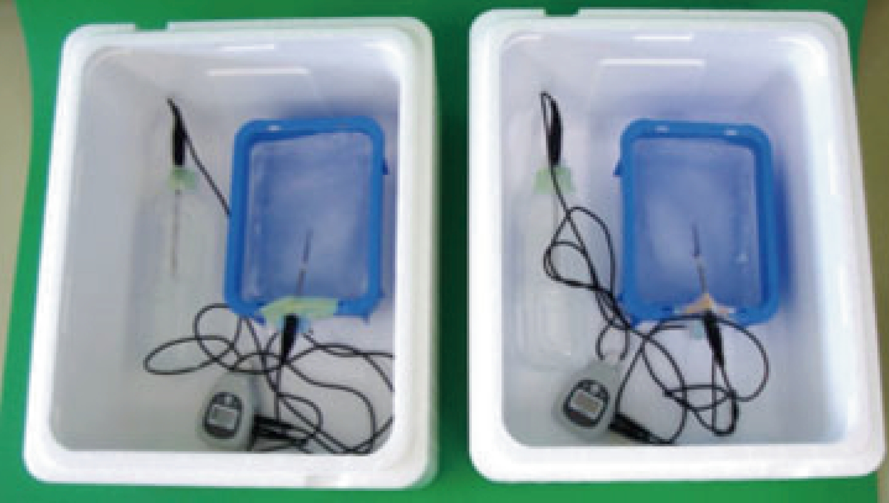 左:通常原料使用 右:再生発泡スチロール原料使用