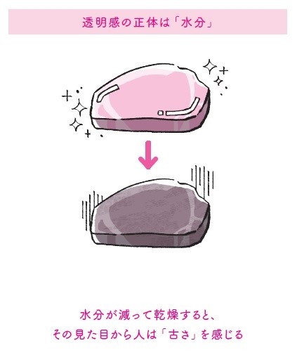 透明感の正体は「水分」　（本書57ページより／イラスト：千坂まこ）