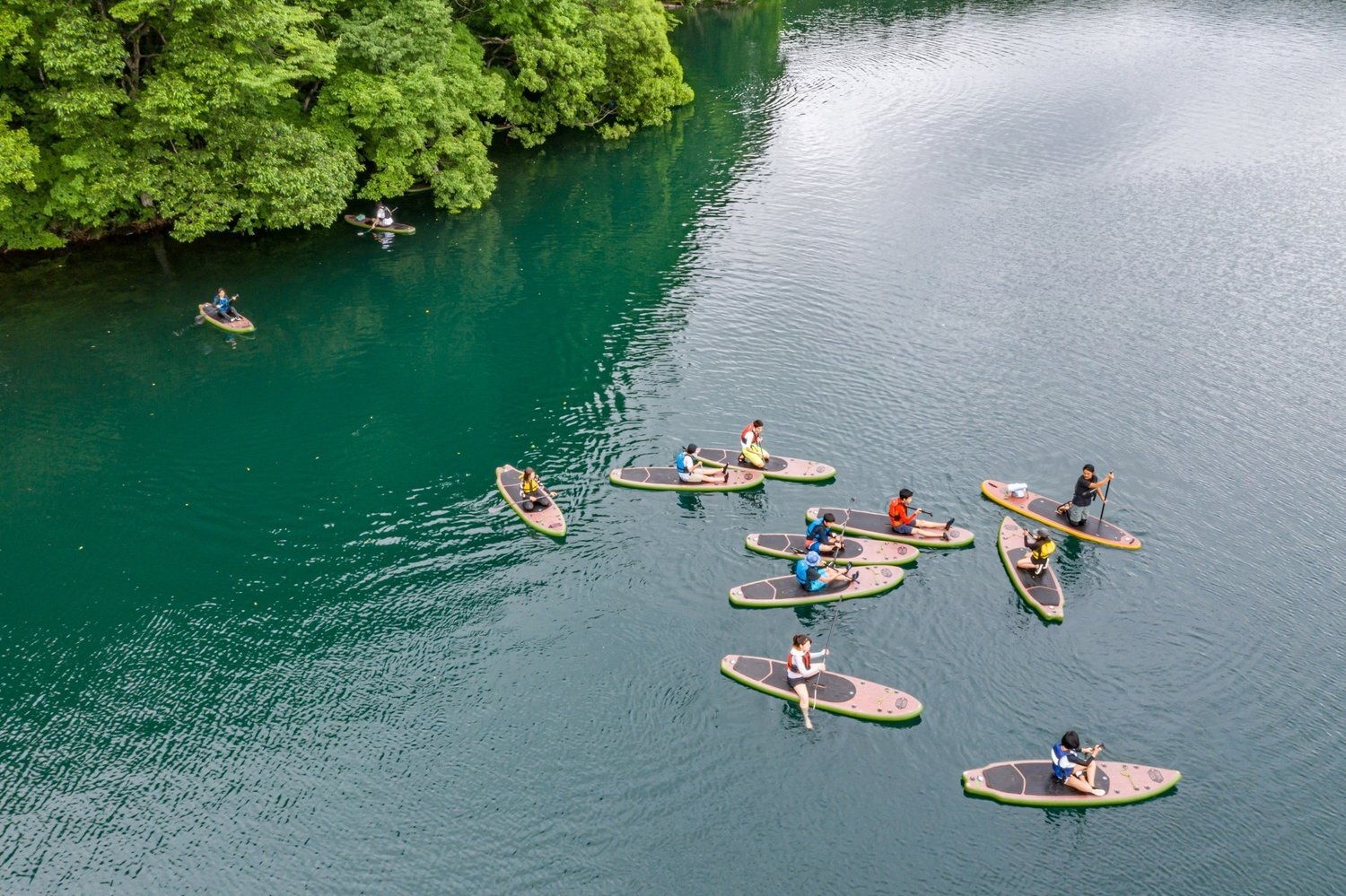 サマーキャンプ/白馬インターナショナルスクール
