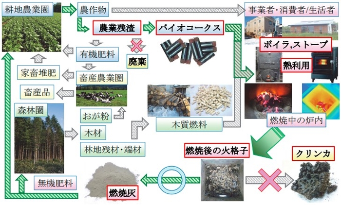 持続可能な地域産業振興と資源循環型・ゼロカーボン社会の実現を目指す「循環型農林地域圏構想」