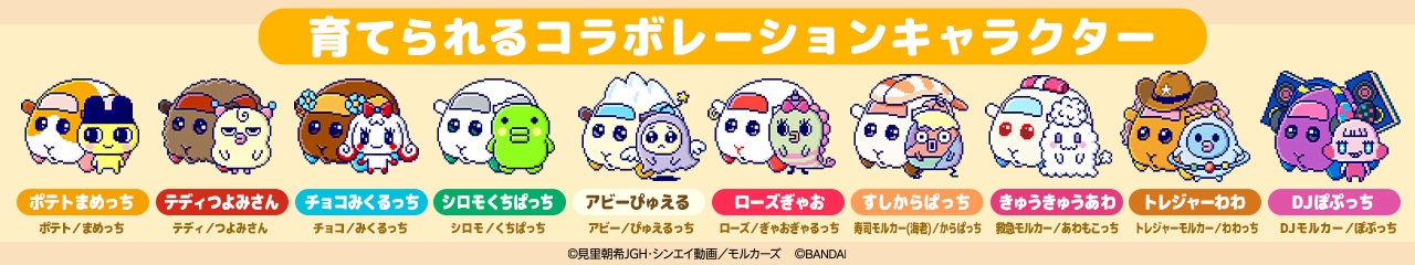 たまスマカード PUI PUI モルカーフレンズ 育てられるコラボレーションキャラクター