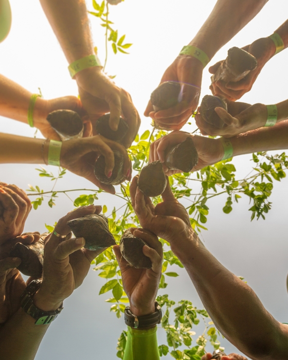 年間50,000本の植樹活動