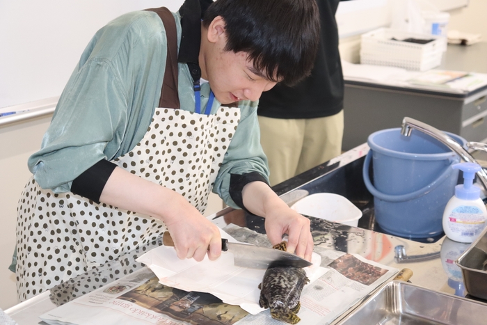 恐る恐るタマカイに包丁を入れる男子生徒