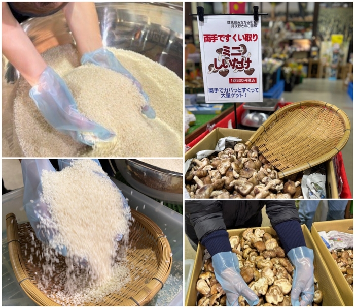 新米両手すくい取り/しいたけ両手ですくい取り