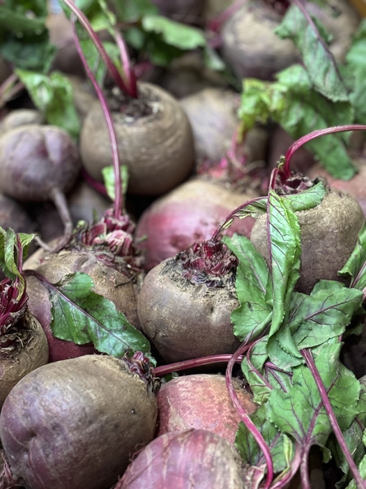 自家栽培ビーツ