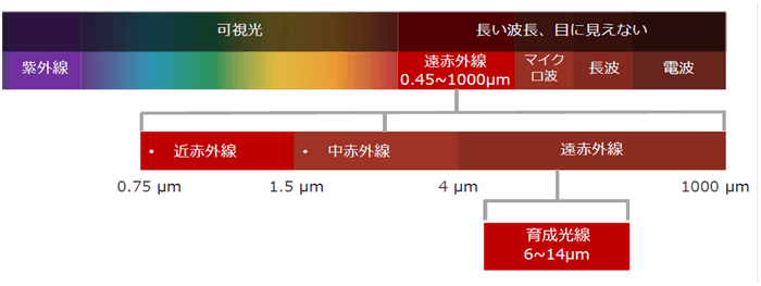 図１：光線の波長