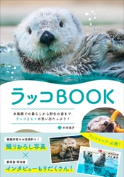 【Amazon“本の人気度ランキング”1位獲得】かわいらしい姿から野生の生態まで今のラッコのすべてががわかる『ラッコBOOK』7月発売