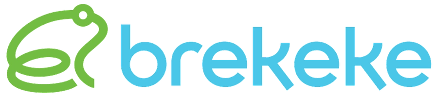 株式会社日本ブレケケ