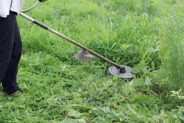 草刈り作業