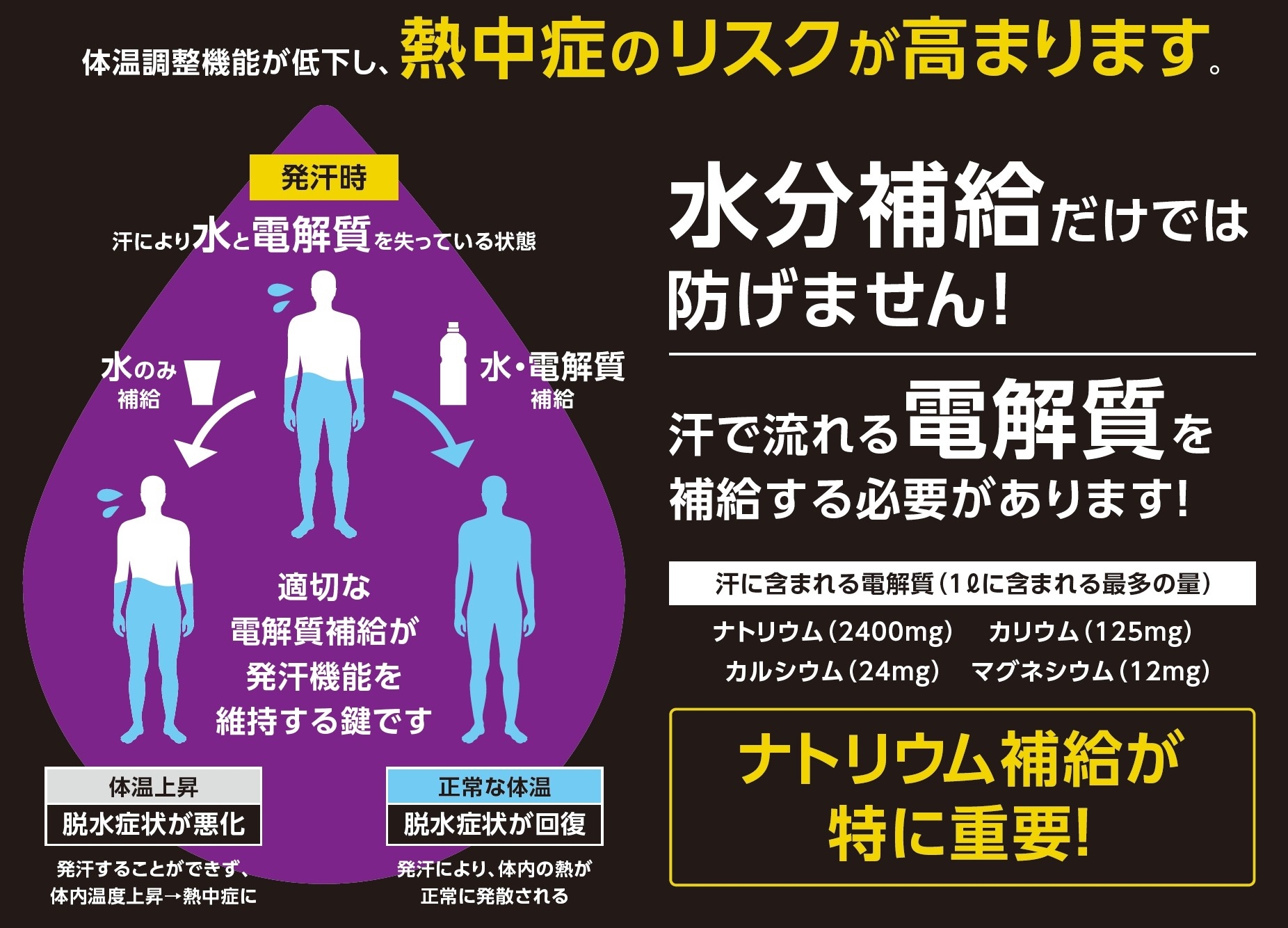 ナトリウム補給が特に重要!