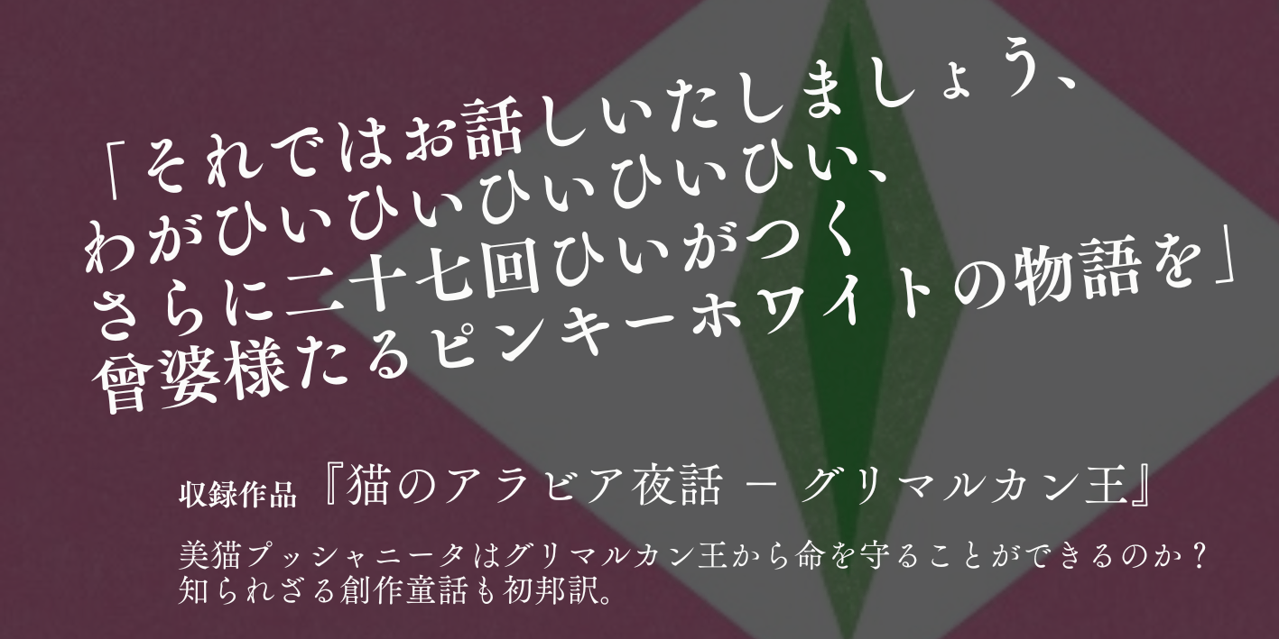 猫にご用心 紹介3