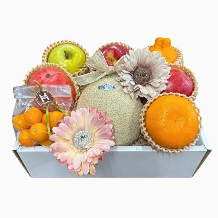 静岡県産マスクメロンと季節の果物が奏でる 旬果のアソート - H - (2)