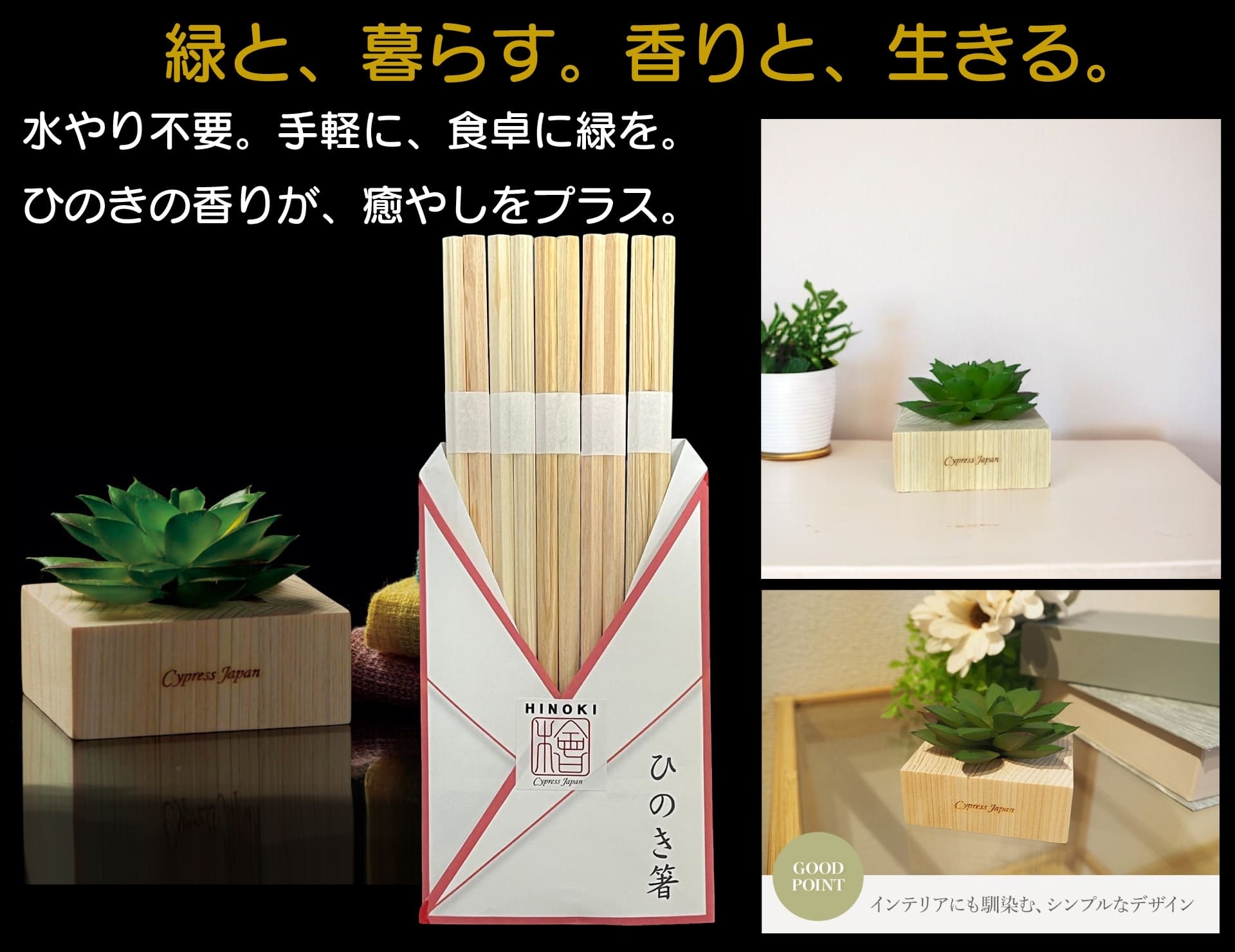 ひのき箸+ひのき多肉植物・角S