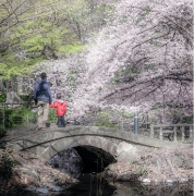 umeneco0705撮影場所:井の頭恩賜公園